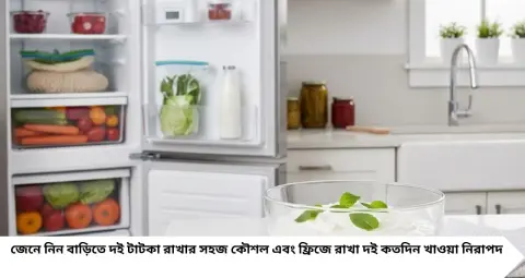 ফ্রিজে রাখার পরেও দই টক হয়ে যাচ্ছে? ৫০০ মিলি দুধে কতটা দম্বল দেবেন জানেন? বাড়িতে দই পাতার সঠিক নিয়ম, কতদিন ভালো থাকে?
