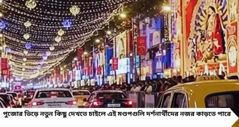 Durga Puja 2026: মহাভারত থেকে ১৬০০ বর্গফুটের অন্নপূর্ণার হাঁড়ি! সল্টলেক-নিউটাউনের এই ৫ পুজোয় থাকছে নজরকাড়া থিম
