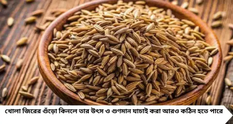 বাজারে নকল জিরের রমরমা! গোটা জিরে থেকে গুঁড়ো—ভেজাল চেনার ৫ সহজ উপায়, কেনার আগে সতর্ক থাকুন
