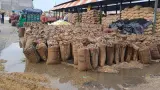 अलीगढ़ में बेमौसम बारिश से किसानों को भारी नुकसान, मंडियों में भीगा लाखों कट्टा धान; करोड़ों की चपत लगने की आशंका