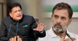 राहुल गांधी पर पीयूष गोयल का पलटवार, टीएन शेषन और एमएस गिल का किया जिक्र