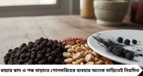 বাজারে নকল গোলমরিচের ছড়াছড়ি? এক গ্লাস জলে পরীক্ষা করলেই মিলবে ইঙ্গিত, কেনার আগে চিনে নিন আসল-নকল
