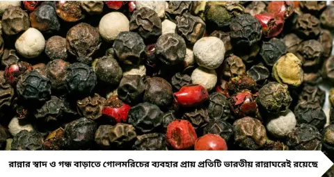 নকল গোলমরিচ চিনবেন কীভাবে? ১ গ্লাস জলে পরীক্ষা করার আগে জেনে নিন আসল-ভেজাল চেনার সহজ উপায়
