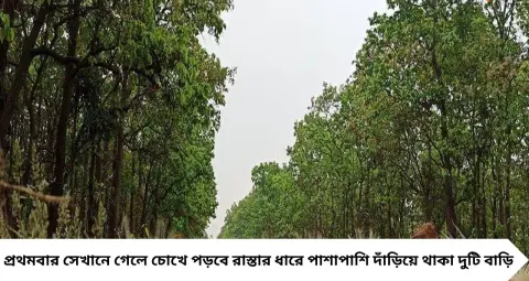 বীরভূমের জঙ্গলে লুকিয়ে ব্যতিক্রমী গ্রাম চাঁদপুর! বাসিন্দা মাত্র ১৬, সবাই একই পরিবারের, পিছনে রয়েছে রাজাদের ইতিহাস
