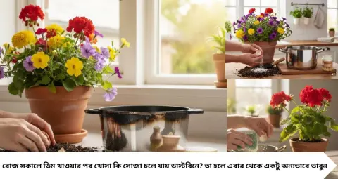 Dimer Khosa: ডিমের খোসা ফেলছেন ডাস্টবিনে? এই ৫ উপায়ে গাছের যত্ন থেকে পোড়া কড়াই পরিষ্কার, বাঁচবে এক টাকাও!
