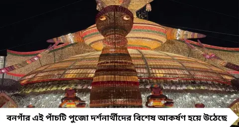 Durga Puja 2026: বনগাঁয় পুজো দেখতে যাওয়ার পরিকল্পনা? মিস করবেন না এই ৫ দুর্গাপুজো, রাম মন্দির থেকে সোমনাথের আদলে নজরকাড়া মণ্ডপ!
