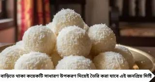 Narkel Naru Recipe: পুজোর ভোগে চাই তুলতুলে নারকেলের নাড়ু? চিনি মেশানোর এই বিশেষ কৌশলেই আসবে আসল স্বাদ, মুখে দিলেই হবে গলে যাওয়া!
