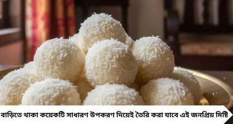 Narkel Naru Recipe: পুজোর ভোগে চাই তুলতুলে নারকেলের নাড়ু? চিনি মেশানোর এই বিশেষ কৌশলেই আসবে আসল স্বাদ, মুখে দিলেই হবে গলে যাওয়া!
