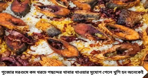 Ilish Biriyani: মাত্র ৬০ টাকায় ইলিশ বিরিয়ানি! পুজোর মুখে সস্তায় পেটপুজোর ধামাকা অফার ডায়মন্ড হারবারের এই দোকানে

