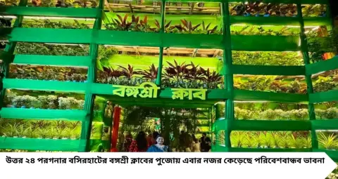 Durga Puja 2026: হাজার গাছের সবুজে সেজেছে দুর্গামণ্ডপ! নারকেল-সুপারি পাতা থেকে মানিপ্লান্ট, বসিরহাটের বঙ্গশ্রী ক্লাবের অভিনব উদ্যোগ

