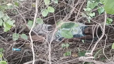 latest news subkuz - मुजफ्फरपुर में सड़क किनारे झाड़ियों में मिली अधेड़ की लाश, पास में एक चप्पल और दूसरी दूर मिलने से जांच में जुटी पुलिस