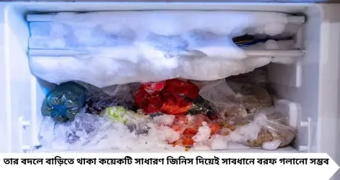 Fridge Tips: সিঙ্গল ডোর ফ্রিজের ডিপ ফ্রিজারে পুরু বরফ জমেছে? মেকানিক ছাড়াই গলান ৩ সহজ উপায়ে, রইল জরুরি সতর্কতা
