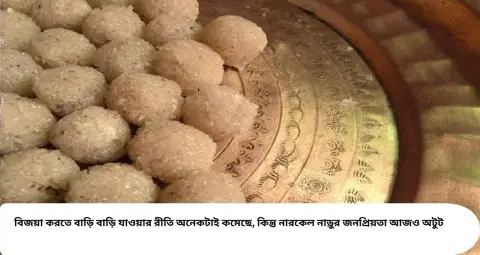 Bijoya Narkel Naru Recipe: বিজয়ার আবেগ নারকেল নাড়ুতে! কম সময়ে কীভাবে বানাবেন নরম, মসৃণ নাড়ু? রইল সহজ ঘরোয়া কৌশল
