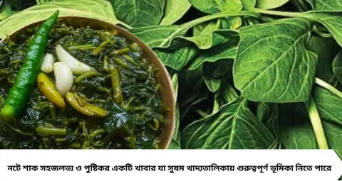 নটে শাকের গুণ জানলে রোজই রাখবেন পাতে! ভিটামিন A, C, K, আয়রন ও ক্যালসিয়ামে ভরপুর, চোখ থেকে হাড়ের যত্নে কতটা উপকারী এই শাক?