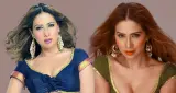Kim Sharma: 15 साल बाद किम शर्मा ने बताया क्यों छोड़ी थीं फिल्में, शाहरुख खान की ‘मोहब्बतें’ से मिली थी पहचान