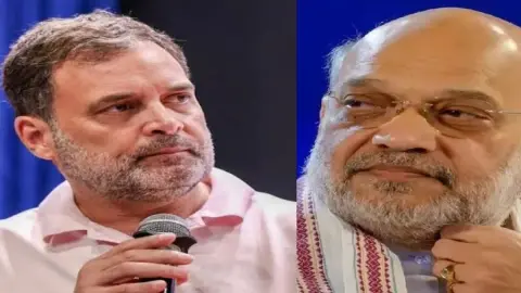 সুলতানপুরের মানহানির মামলায় বেকসুর খালাস রাহুল গান্ধী