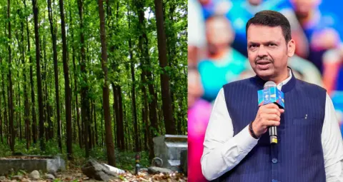 रायगढ़ में 32,490 पेड़ों की कटाई पर रोक, CM फडणवीस बोले- प्रोजेक्ट से 28 करोड़ पेड़ों जितना प्रदूषण कम होगा