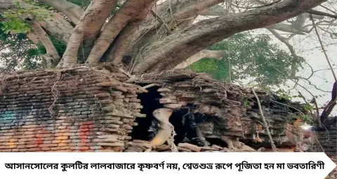 Barasat Dakat Kali Bari: রঘু ডাকাতের আস্তানা ছিল এই কালীমন্দির! ৪০০ বছরের প্রাচীন অশ্বত্থ গাছেই পূজিত হন মা, জানুন রহস্যময় ইতিহাস

