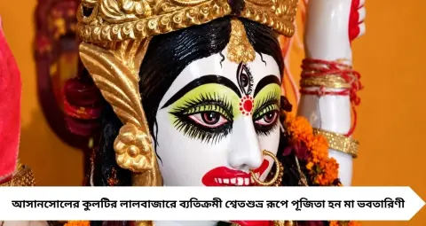 White Kali Idol: কালো নয়, ধবধবে সাদা রূপে পূজিতা মা কালী! স্বপ্নাদেশে শুরু হয়েছিল আরাধনা, কুলটির এই মন্দিরে আজও ভিড় জমান ভক্তরা