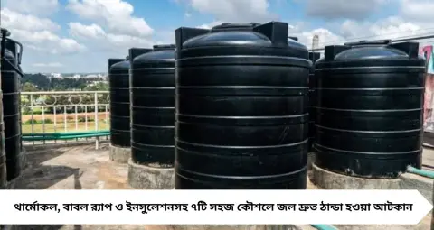 Water Tank Winter Tips: গিজার বা ইমারশন হিটার ছাড়াই শীতের সকালে পাবেন তুলনামূলক উষ্ণ জল! জলের ট্যাঙ্ক ঠান্ডা হওয়া আটকাতে কাজে লাগান এই ৭টি সহজ কৌশল