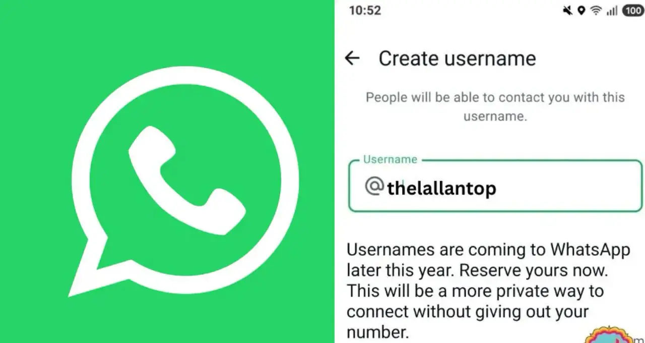 WhatsApp Guest Calling फीचर लॉन्च, बिना अकाउंट वाले लोग भी कर सकेंगे ऑडियो-वीडियो कॉल; जानें तरीका