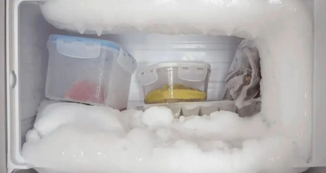 Fridge Tips: সিঙ্গল ডোর ফ্রিজের ডিপ ফ্রিজারে পুরু বরফ জমেছে? মেকানিক ছাড়াই গলান ৩ সহজ উপায়ে, রইল জরুরি সতর্কতা

