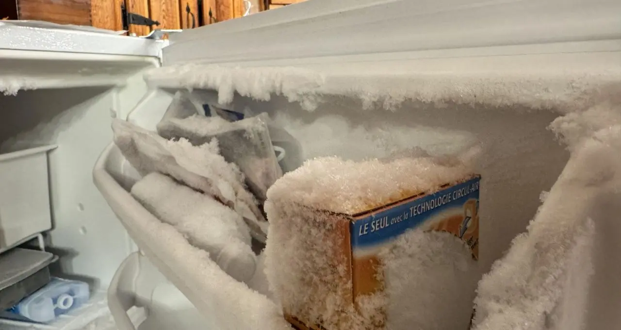 Fridge Tips: সিঙ্গল ডোর ফ্রিজের ডিপ ফ্রিজারে পুরু বরফ জমেছে? মেকানিক ছাড়াই গলান ৩ সহজ উপায়ে, রইল জরুরি সতর্কতা
