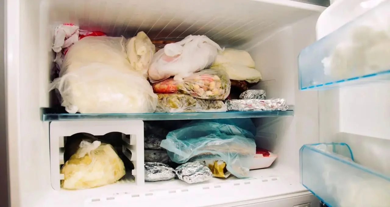 Fridge Tips: সিঙ্গল ডোর ফ্রিজের ডিপ ফ্রিজারে পুরু বরফ জমেছে? মেকানিক ছাড়াই গলান ৩ সহজ উপায়ে, রইল জরুরি সতর্কতা
