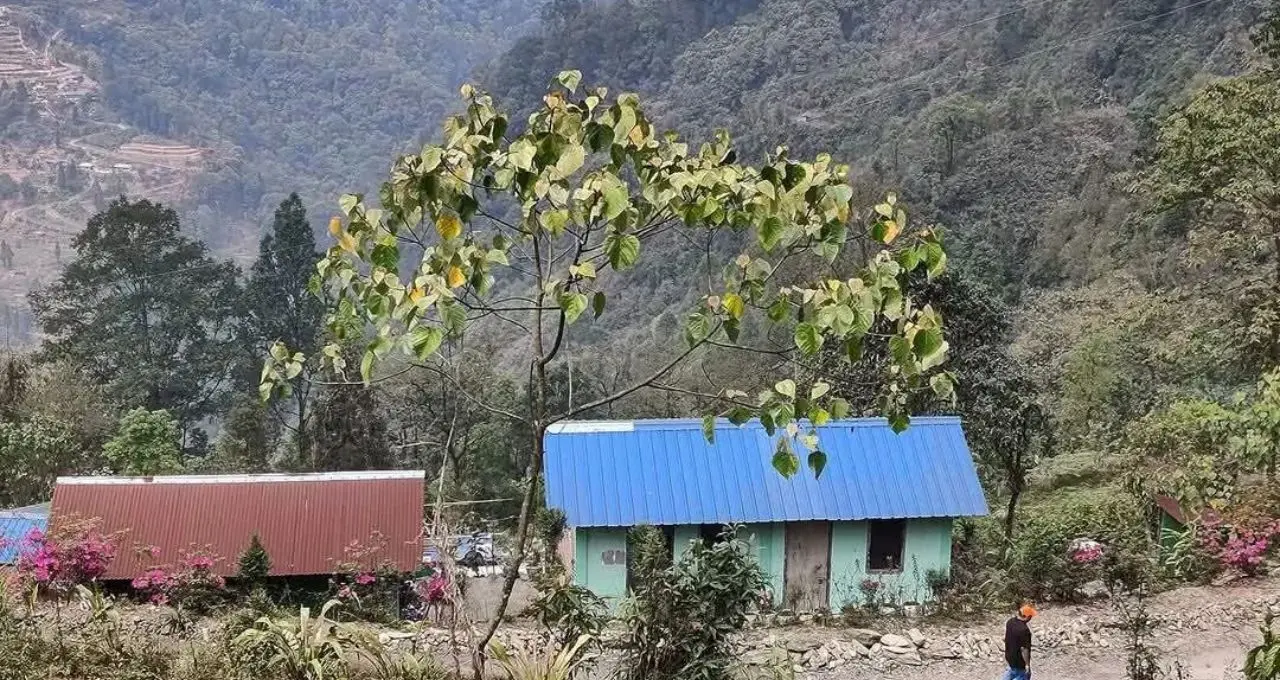 Offbeat Hill Destination: দার্জিলিং-লাভার ভিড় এড়িয়ে ঘুরে আসুন কালিম্পংয়ের লুনসেল! চা-বাগান, সবুজ পাহাড় আর নির্জন প্রকৃতির মাঝে কাটবে স্বপ্নের ছুটি