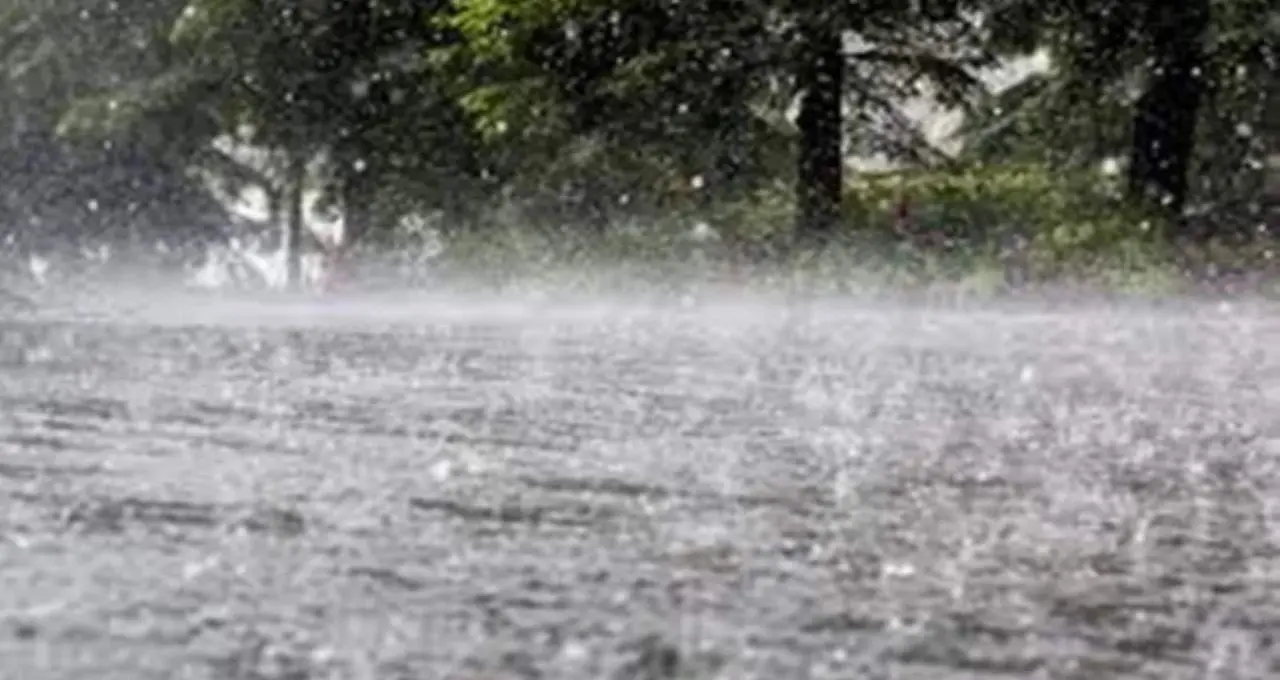Cyclone Arnab Weather Update: বাংলায় অর্ণবের প্রভাব কতটা? বাড়ল তাপমাত্রা, আগামীকাল কোন কোন জেলায় বৃষ্টি, কবে পড়বে জাঁকিয়ে শীত?
