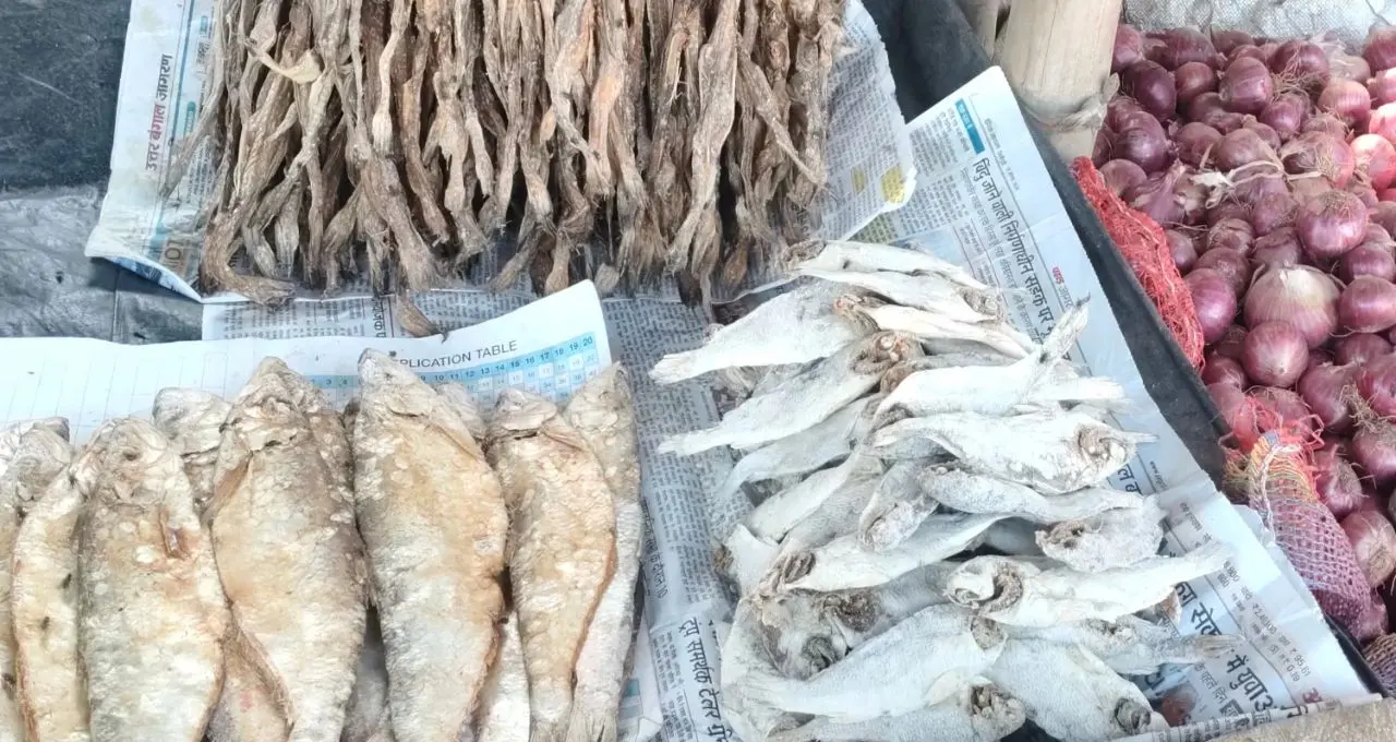 Shutki Fish Recipe: শীতের দুপুরে গরম ভাতের সঙ্গে চাই জমজমাট শুঁটকি! উত্তরবঙ্গের ৪ রকমের দুর্দান্ত পদ, স্বাদে মন ভরবে
