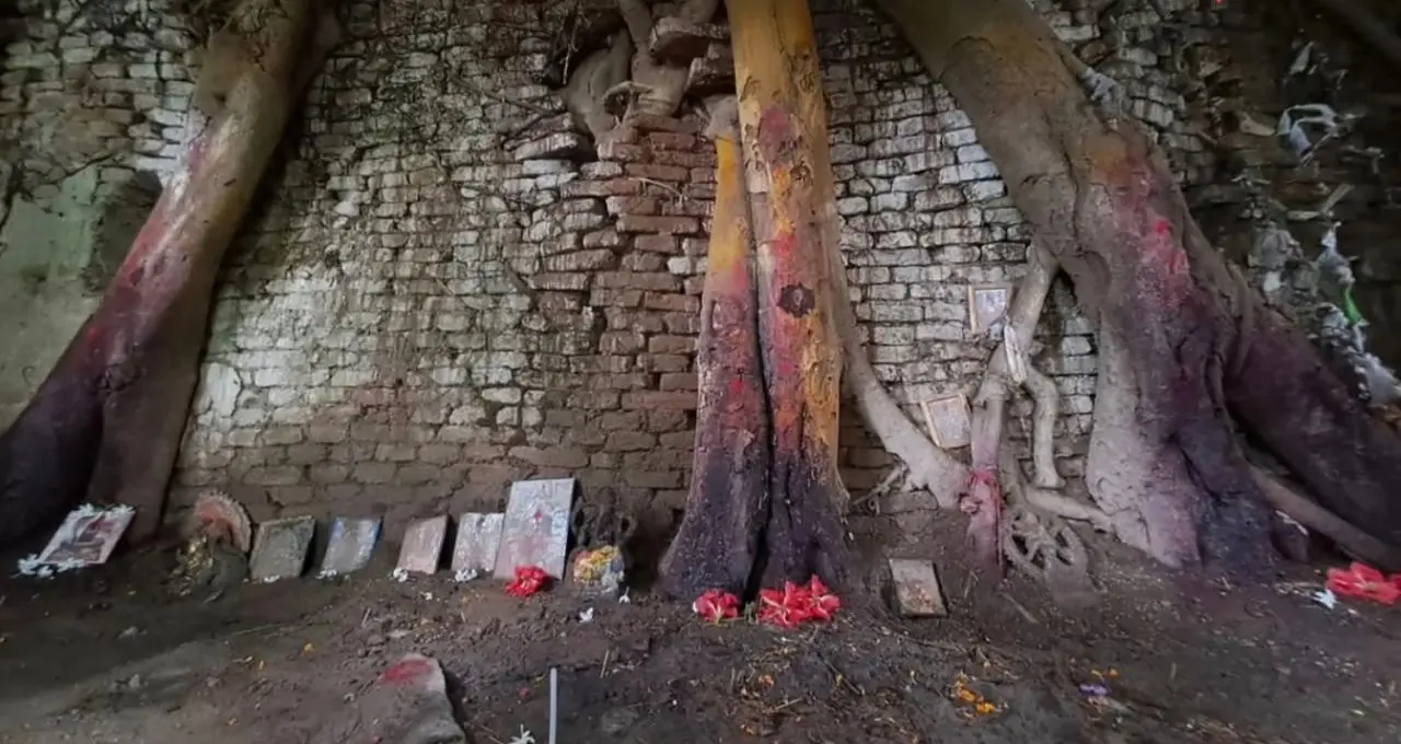 Barasat Dakat Kali Bari: রঘু ডাকাতের আস্তানা ছিল এই কালীমন্দির! ৪০০ বছরের প্রাচীন অশ্বত্থ গাছেই পূজিত হন মা, জানুন রহস্যময় ইতিহাস
