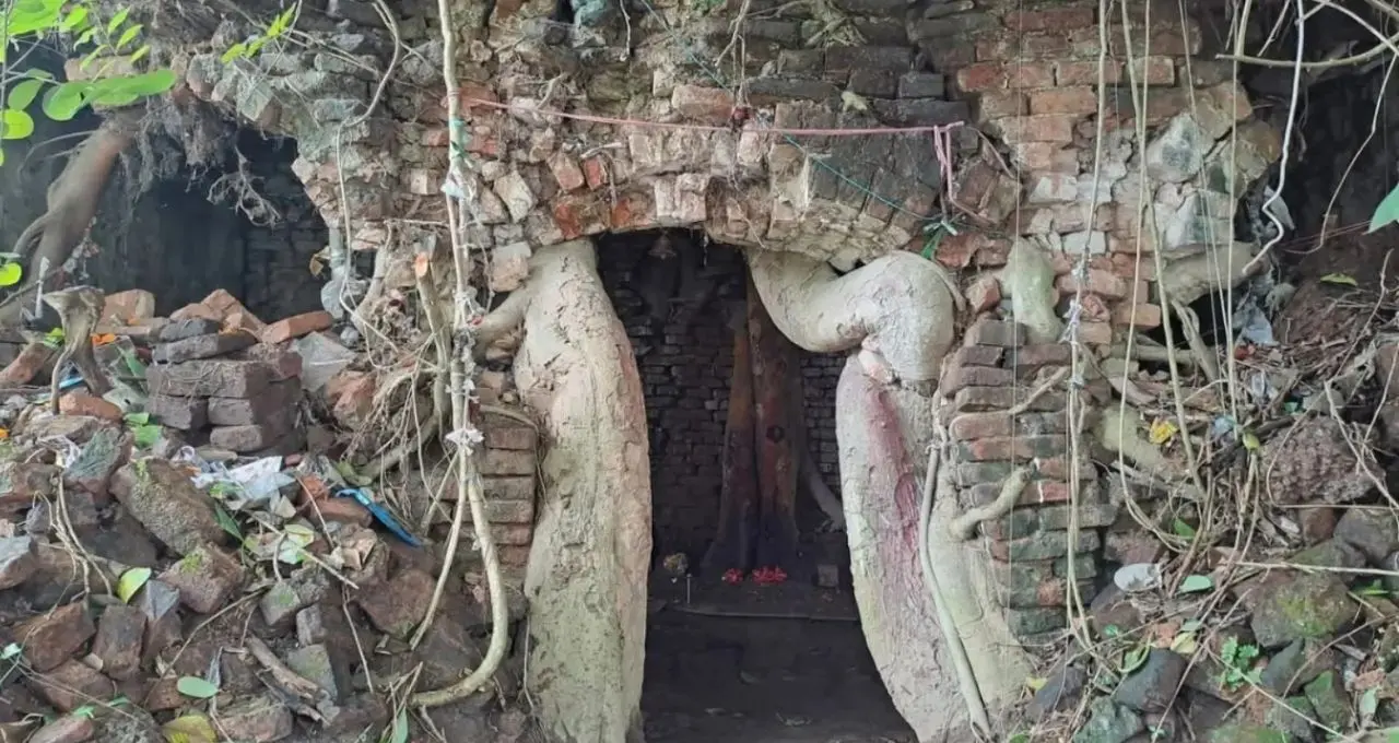 Barasat Dakat Kali Bari: রঘু ডাকাতের আস্তানা ছিল এই কালীমন্দির! ৪০০ বছরের প্রাচীন অশ্বত্থ গাছেই পূজিত হন মা, জানুন রহস্যময় ইতিহাস
