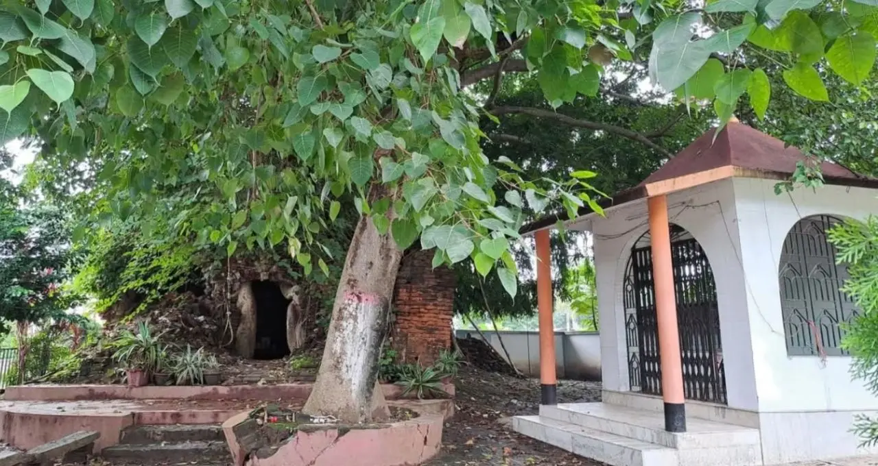Barasat Dakat Kali Bari: রঘু ডাকাতের আস্তানা ছিল এই কালীমন্দির! ৪০০ বছরের প্রাচীন অশ্বত্থ গাছেই পূজিত হন মা, জানুন রহস্যময় ইতিহাস
