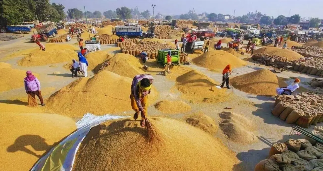 UP Dhan Kharid 2026: पूर्वी यूपी में 1 नवंबर से शुरू होगी धान खरीद, किसानों को 48 घंटे में मिलेगा पैसा
