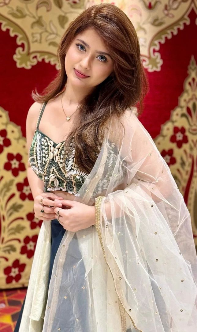 अरिश्फा खान के ग्लैम लुक्स, टीनएज गर्ल्स के लिए परफेक्ट फैशन इंस्पिरेशन