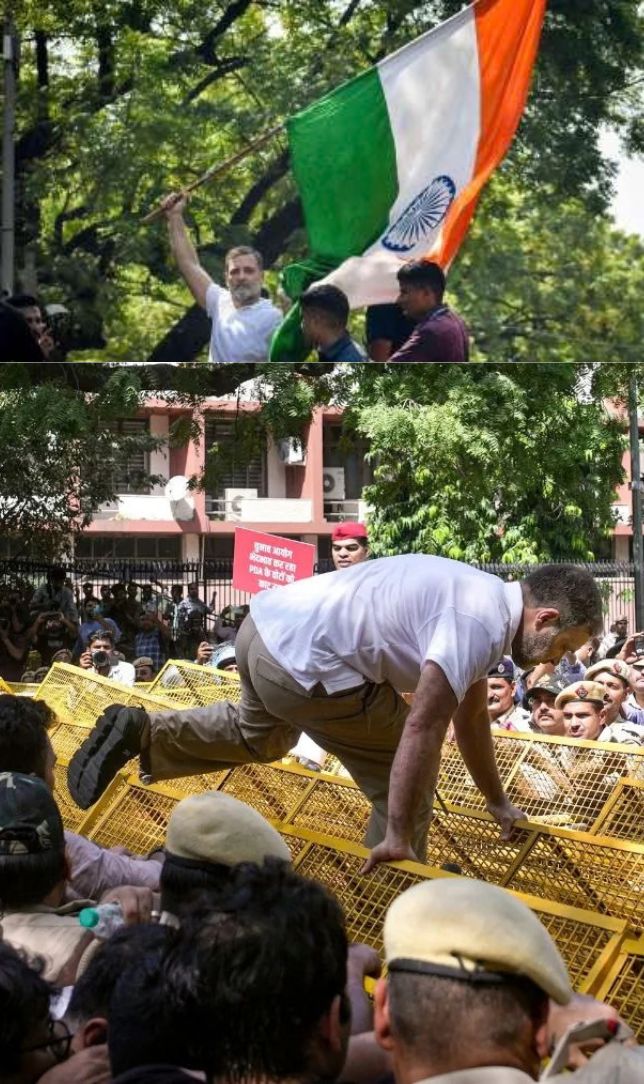 राहुल गांधी का हाई-वोल्टेज प्रोटेस्ट, बैरिकेड पर तिरंगा से बरगद के नीचे धरने तक
